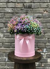 Цветочная композиция из Гипсофила и Розы в шляпной коробке в Дубранивке