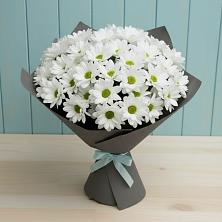 Букет цветов из:  Хризантемы в Дубранивке