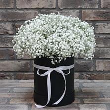 Цветочная композиция из Гипсофила в шляпной коробке в Дубранивке