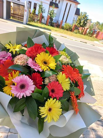 Букет цветов из: Герберы в Дубранивке